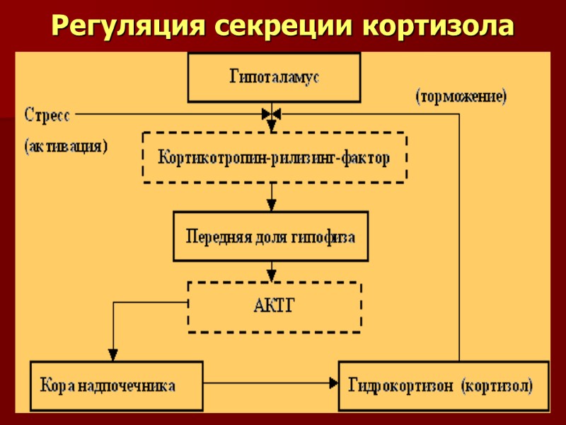 Регуляция секреции кортизола